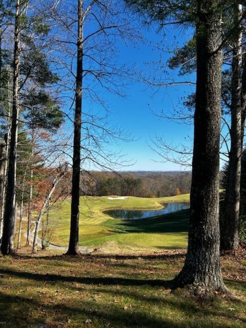 Villa Sugar Bear Cabin With Boat Parking 5 Mins To State Park & Golf Burkesville Exterior foto